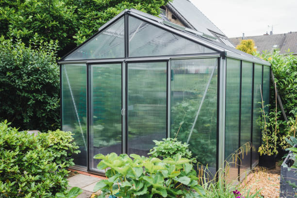 estufa no jardim - greenhouse - fotografias e filmes do acervo