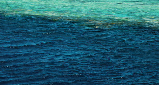 istock Texture Light blue surface of raging sea water with white foam and wave pattern 1335003895