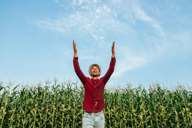 istock handsome and cheerful farmer with his hands up. 1335007495