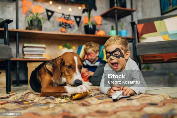 Playful Superheroes And Their Dog Spending Fun Time Together During Halloween Season Stock Photo - Download Image Now