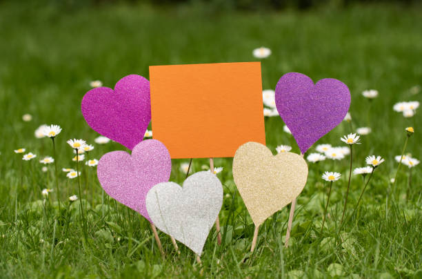 оранжевый бумажный знак на лугу между травой и ромашками, обрамленный пятью разноцветными блестящими сердечками. - heart shape grass paper green стоковые фото и изображения