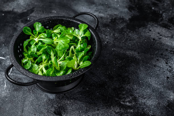 istock Fresh green Corn salad leaves, lambs lettuce in a colander. Black background. Top view. Copy space 1335012579