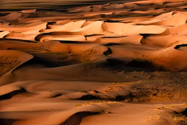 San dunes in the Gobi Desert, Mongolia