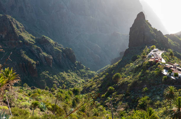 istock Masca canyon Tenerife Island 1335014001