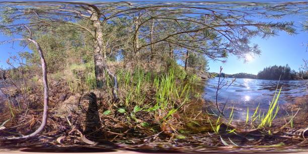 istock 360 VR - Calming Rippling Water Next and Swaying Branches 1335014100