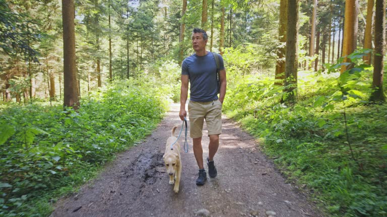 TS Man and his young dog walking in a forest on a nice path