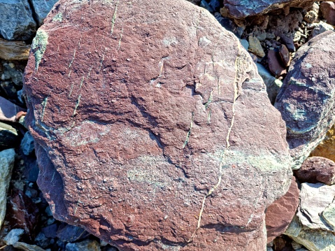 The Verrucan Stone is a sediment conglomerate from the permian period. It consists of silicoplastics and vulcanic source. The Verrucano stones from switzerland (canton glarus and graubuenden) appear often in green ord red colurs. The close-up image was captured in the canton of glarus.