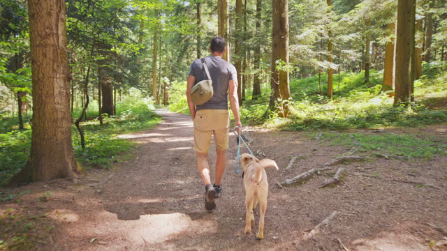 TS Man and his young dog walking on a nice forest path