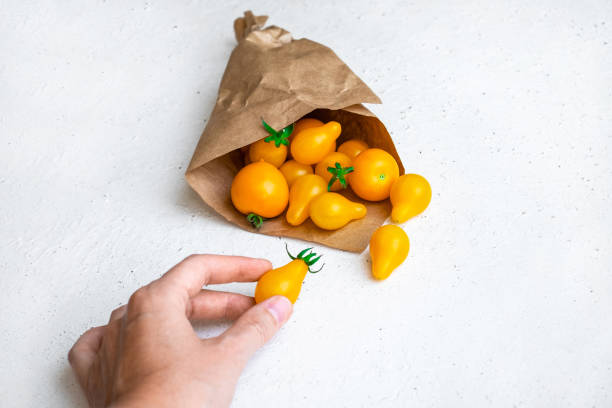 Small yellow tomatoes spilled out of craft paper bag on white background. Closeup image of yellow pear tomatoes. Organic healthy food. stock photo