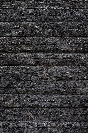 Texture, background, pattern of a charred log wall of a burned-out wooden house. Vertical image.
