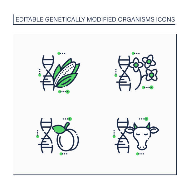 ilustraciones, imágenes clip art, dibujos animados e iconos de stock de conjunto de iconos de línea de organismos modificados genéticamente - genetic modified organism