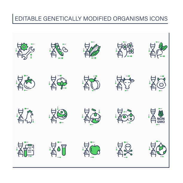 ilustraciones, imágenes clip art, dibujos animados e iconos de stock de conjunto de iconos de línea de organismos modificados genéticamente - genetic modified organism