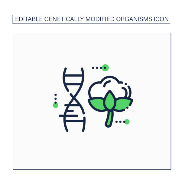 ilustrações, clipart, desenhos animados e ícones de ícone da linha de algodão - transgenic cotton