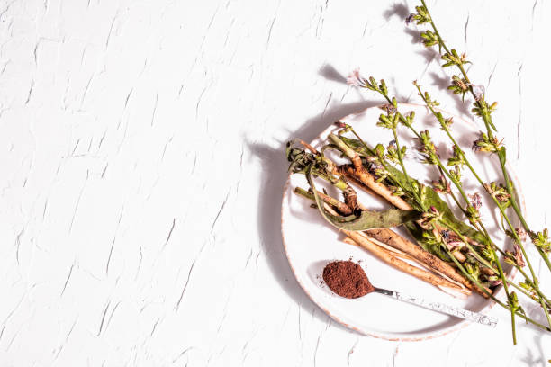 istock Fresh flowers and roots of chicory on a ceramic stand 1335026927