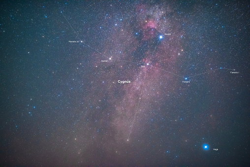 CYHNUS in the Milky way and the bright Deneb star