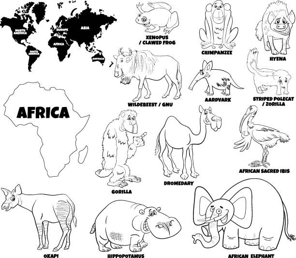 Educational Illustration Of African Animals Coloring Book Page Stock  Illustration - Download Image Now - iStock