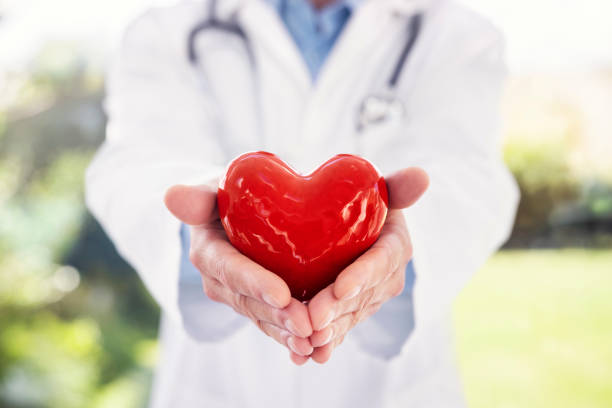 빨간 심장을 들고 있는 의사 또는 심장전문의 - pulse trace human cardiovascular system heart shape heart disease 뉴스 사진 이미지