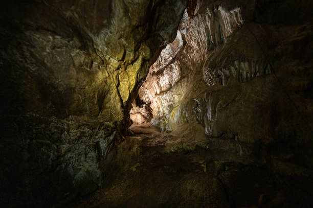 istock Dark cave with stalactites and stalagmites 1335038309