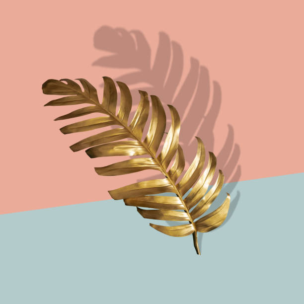 istock Golden tropical palm leaf Monstera on pastel luxury pink . Abstract pattern for design and space for text. 1335040001