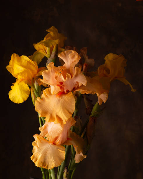 istock Yellow irises -beautiful bright fresh spring flowers 1335040305