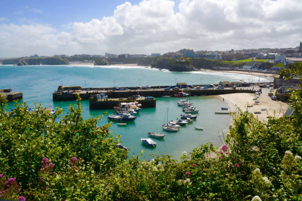 istock Newquay harbour, Newquay, Cornwall, UK 1335042457