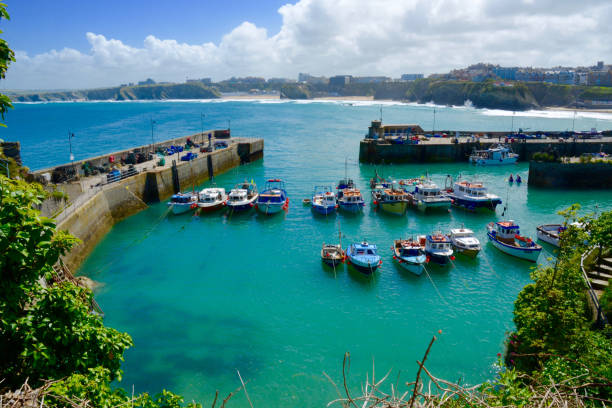 istock Newquay harbour, Newquay, Cornwall, UK 1335042566