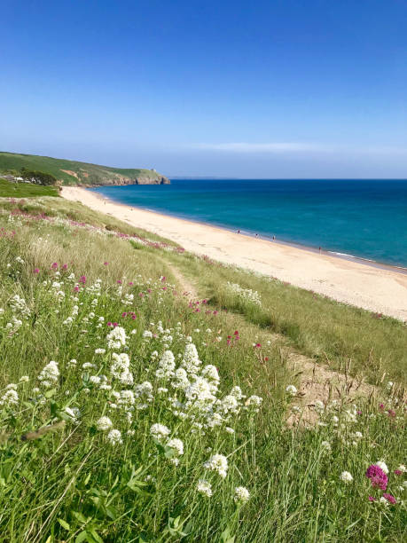 istock Praa Sands, Penzance, Cornwall, UK 1335044698