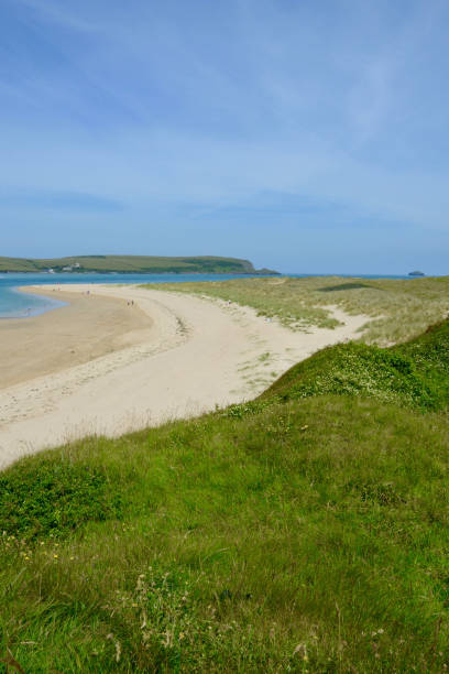istock Camel Estuary, Rock beach, Padstow, Cornwall, UK 1335044755