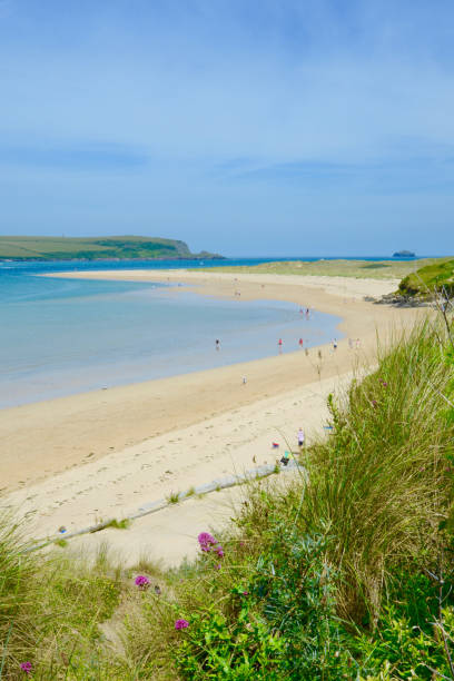 Camel Estuary, Rock beach, Padstow, Cornwall, UK Empty sandy beach with blue sky and sandy dunes famous The Eagle has landed was filmed cornwall england photos stock pictures, royalty-free photos & images