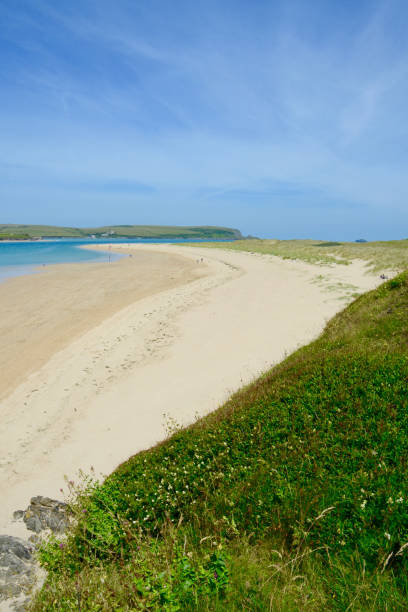 istock Camel Estuary, Rock beach, Padstow, Cornwall, UK 1335044771