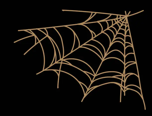 Vector illustration of Spider web isolated on wite background. Spooky spider web for Halloween decoration.