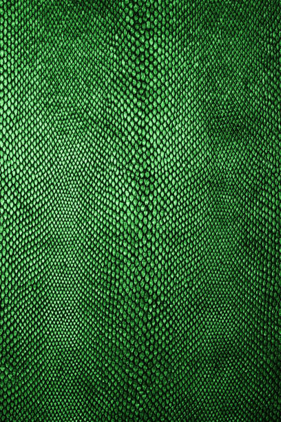 istock Snake skin pattern. Green snake skin texture. 1335046190
