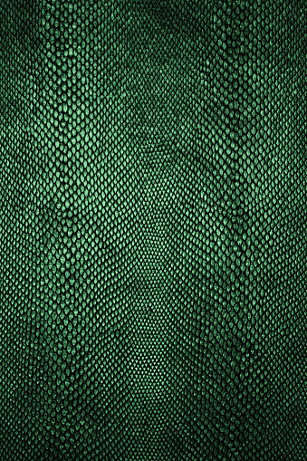 Patrón de piel de serpiente. Textura de la piel de serpiente verde. photo