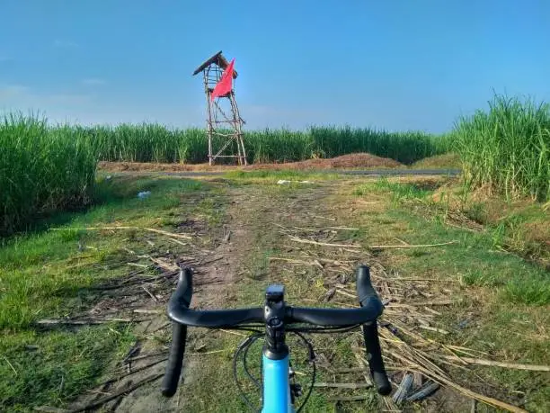 Cycling a road bike to a beautiful place and take a shoot from the handlebar view