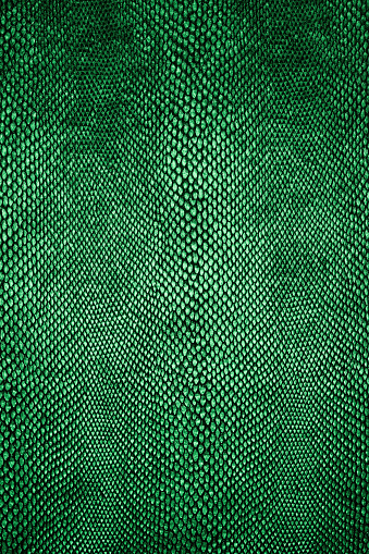 Snake skin pattern. Green snake skin texture. Reptile skin texture and background.