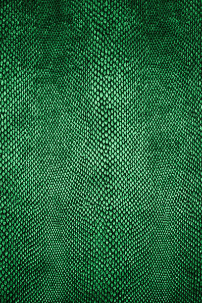 snake skin pattern. green snake skin texture. - animal skin fotos imagens e fotografias de stock