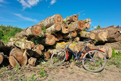 A bike parked at stacked logs in a sunny day. High quality photo