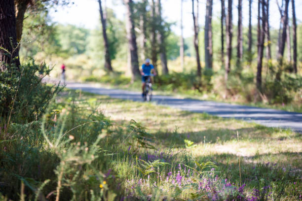istock nice landscape of a forest with cyclists 1335050885
