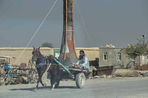 Afghan Farmer on Horse driven wooden Cart near Kabul, Afghanistan Afghanistan, 10.10.2012: Farmer on Horse driven wooden Cart on highway passing chimney of old brick factory donkey animal themes desert landscape stock pictures, royalty-free photos & images
