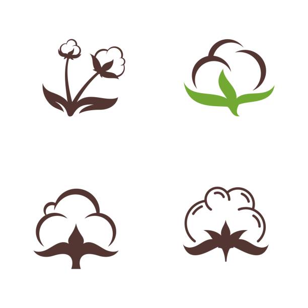 Cotton flower vector icon template Cotton flower vector icon template symbol nature boll stock illustrations