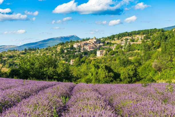 campi di lavanda in fiore e villaggio di aurel sullo sfondo a vaucluse, provenza-alpi-costa azzurra, francia - town of blossom foto e immagini stock