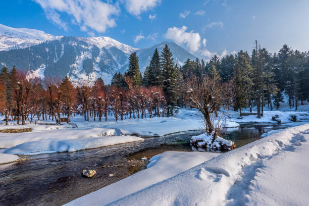 vue de la vallée de betab en hiver, près de pahalgam, cachemire, inde - jammu et cachemire photos et images de collection