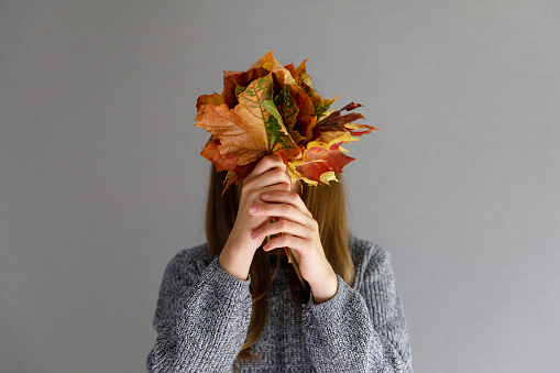 Autumn mood concept. Woman is holding in her hands yellow maple leaves covering her face over gray wall background.