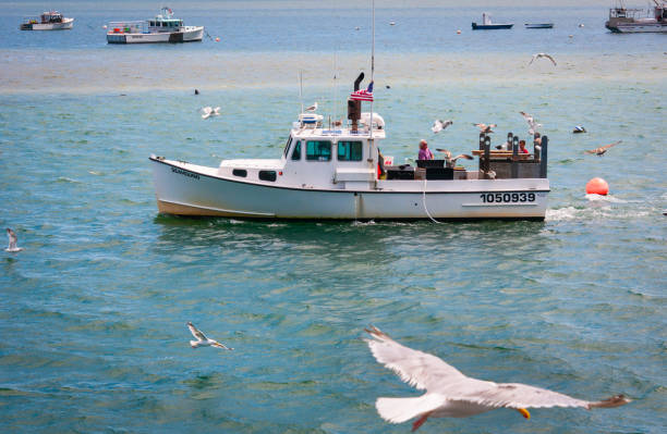 pescadores que regresan - august cape cod massachusetts new england fotografías e imágenes de stock