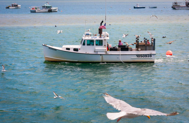pêcheurs de retour - august cape cod massachusetts new england photos et images de collection