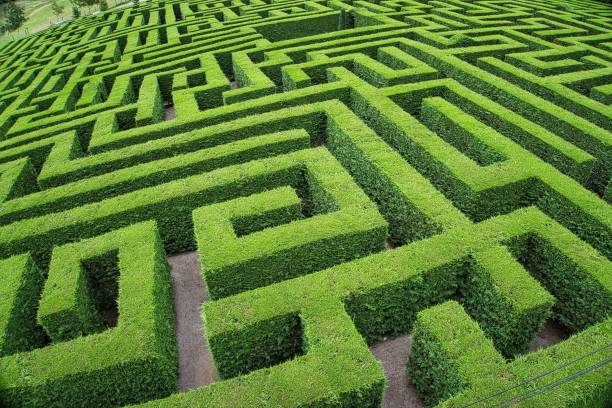 Outdoor hedge labyrinth, ornamental complex garden View of an outdoor hedge labyrinth, ornamental complex garden ornamental plant stock pictures, royalty-free photos & images