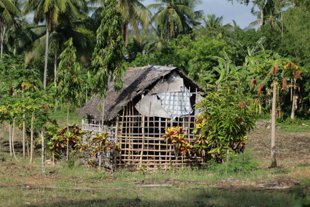 istock Farm House Philippines 1335062672