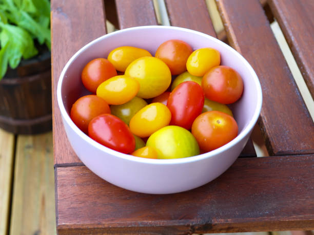 istock Cherry tomatoes in different colors in a bowl 1335064028