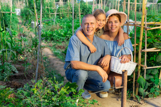 istock Family in kithcen garden 1335064137