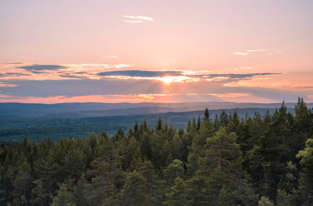 istock Sweden - Summer sunset over the forest hill 1335065699